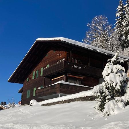 Apartment Helene Apt-Diana By Interhome Wengen Bagian luar foto
