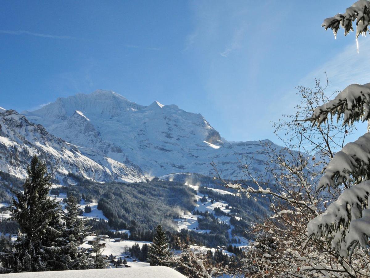Apartment Helene Apt-Diana By Interhome Wengen Bagian luar foto