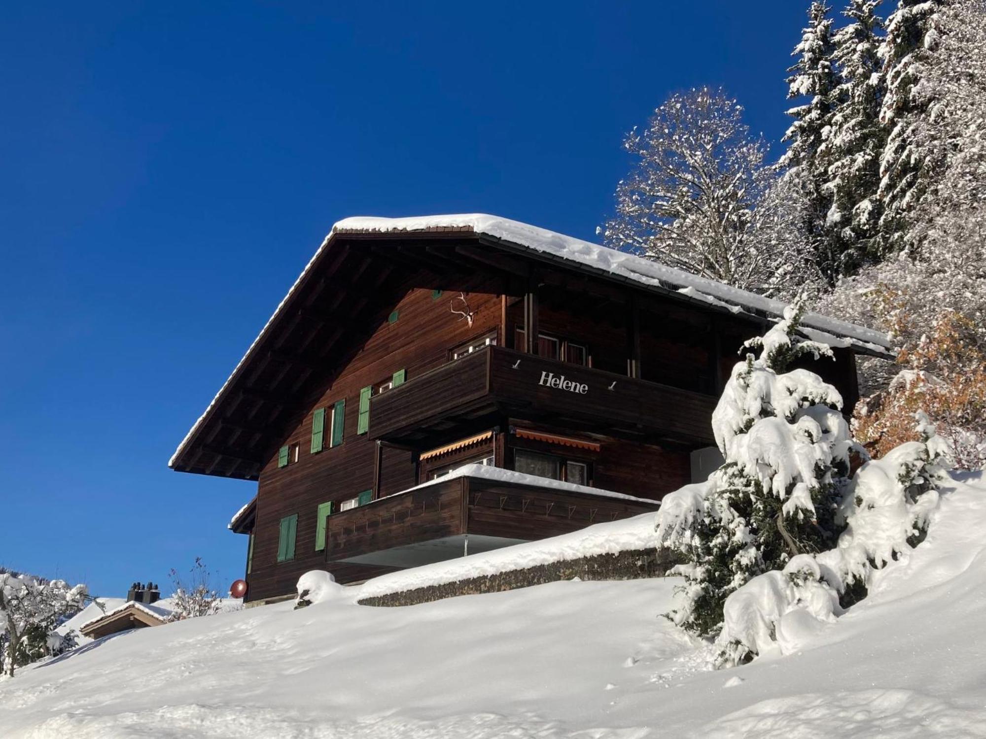 Apartment Helene Apt-Diana By Interhome Wengen Bagian luar foto