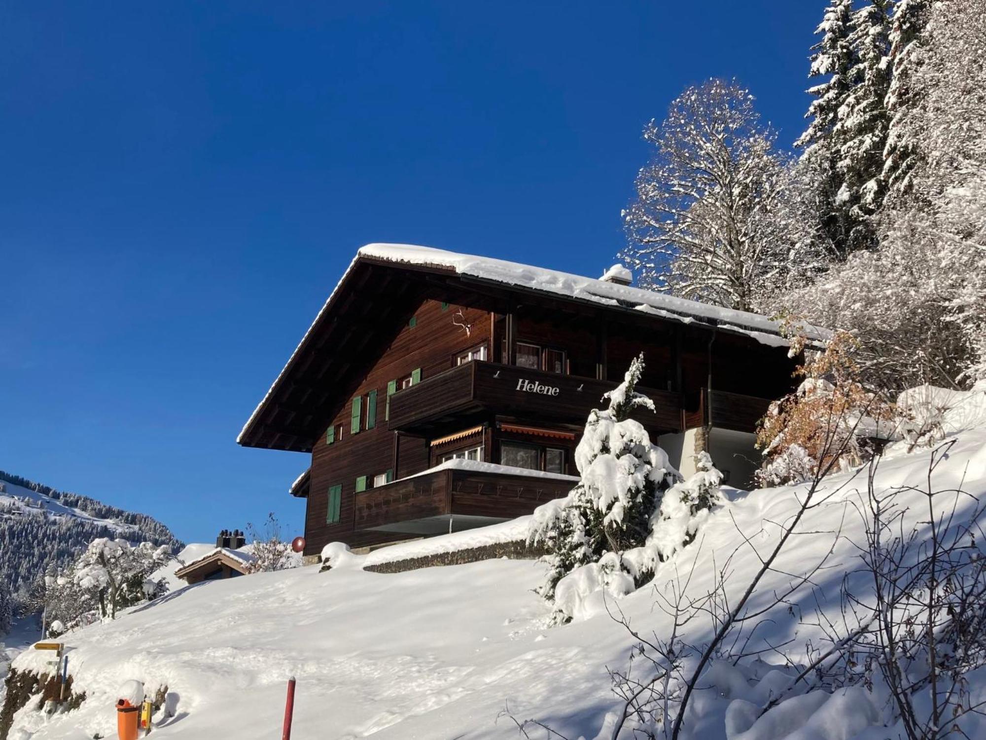 Apartment Helene Apt-Diana By Interhome Wengen Bagian luar foto